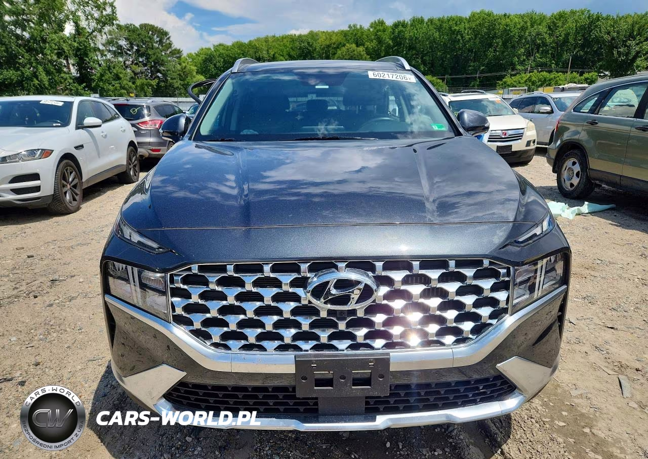 2023 Hyundai Santa Fe Sel Premium VIN:5NMS3DA19PH010356 - 5