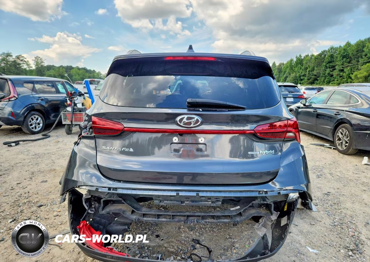 2023 Hyundai Santa Fe Sel Premium VIN:5NMS3DA19PH010356 - 6