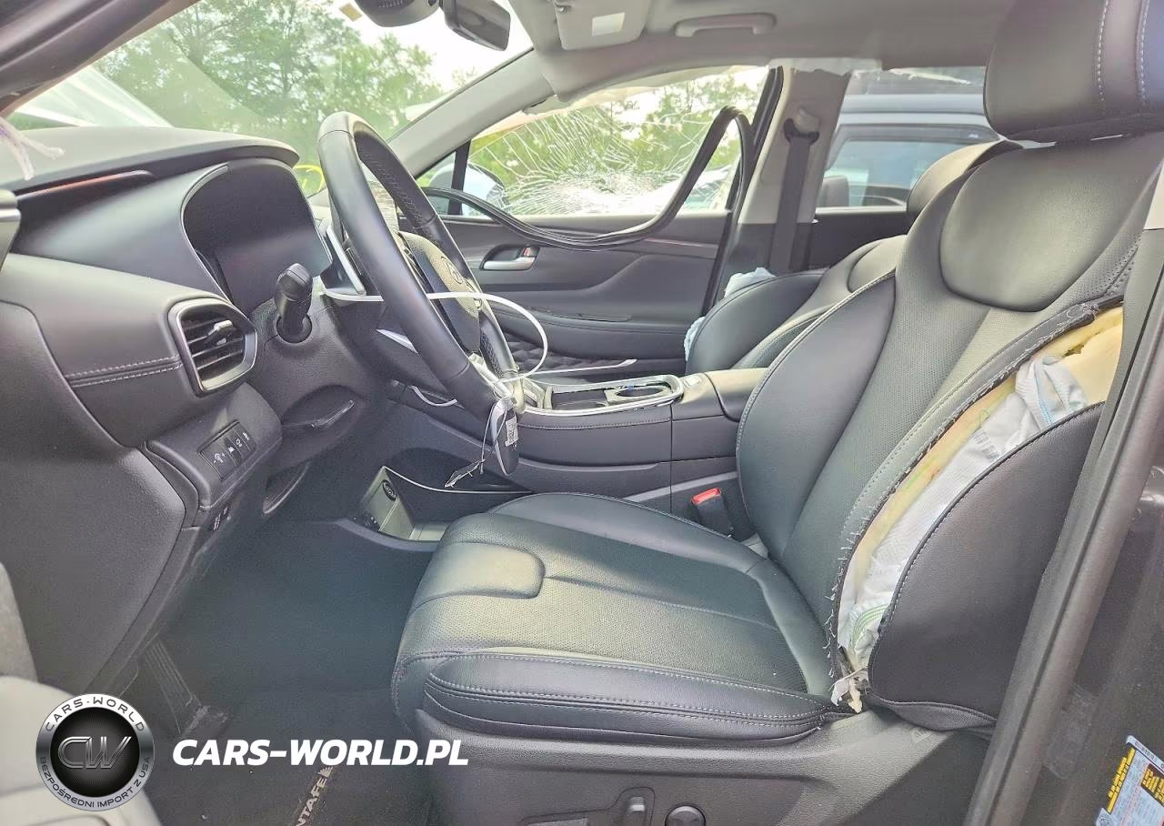 2023 Hyundai Santa Fe Sel Premium VIN:5NMS3DA19PH010356 - 7
