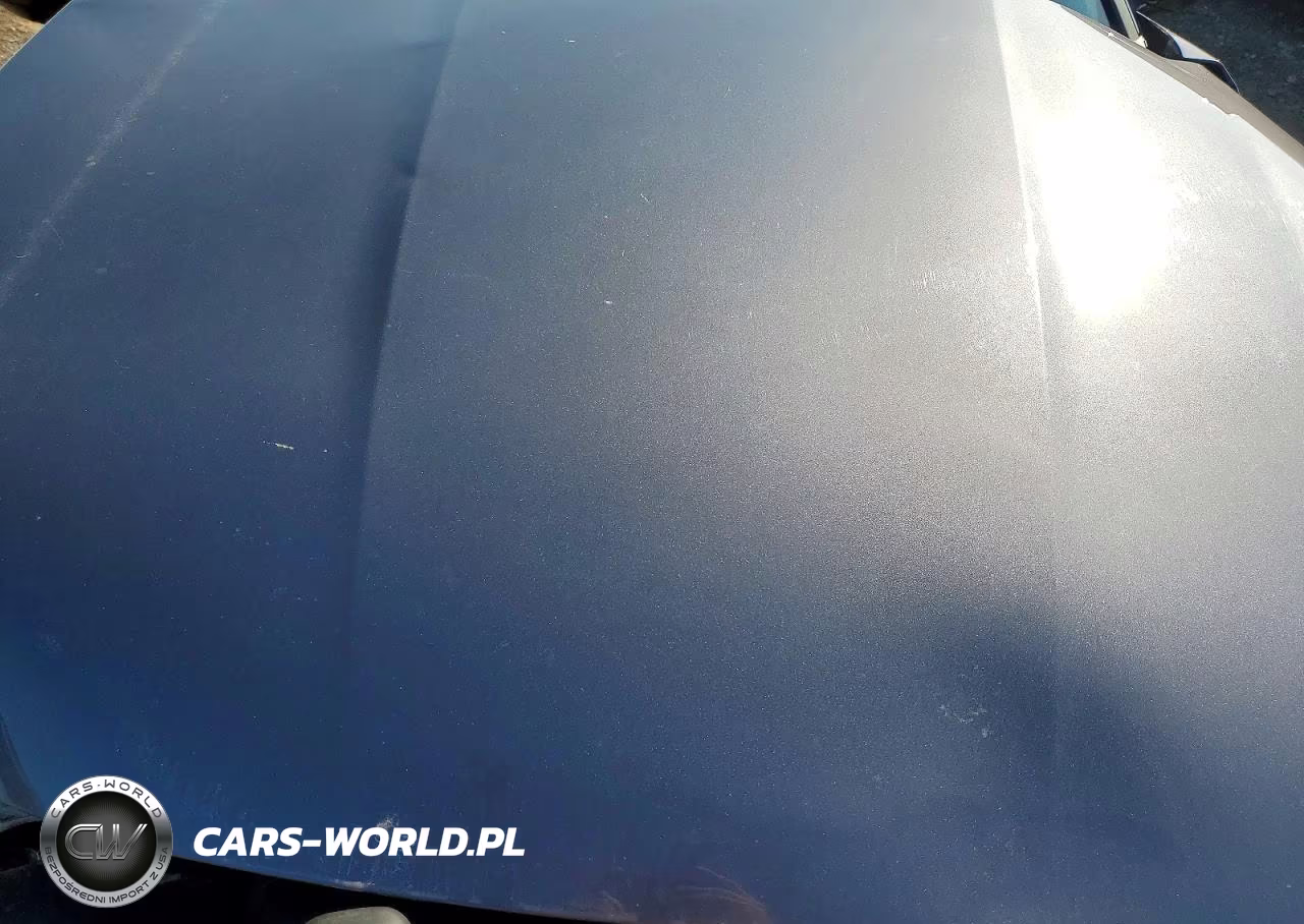 2019 Honda Accord Lx VIN:1HGCV1F11KA058394 - 11