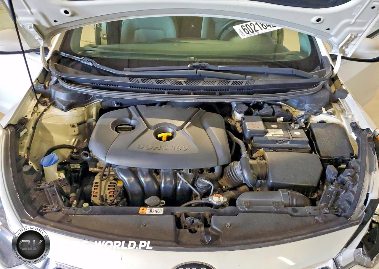 2015 Kia Forte Lx VIN:KNAFK4A65F5324164 - 11