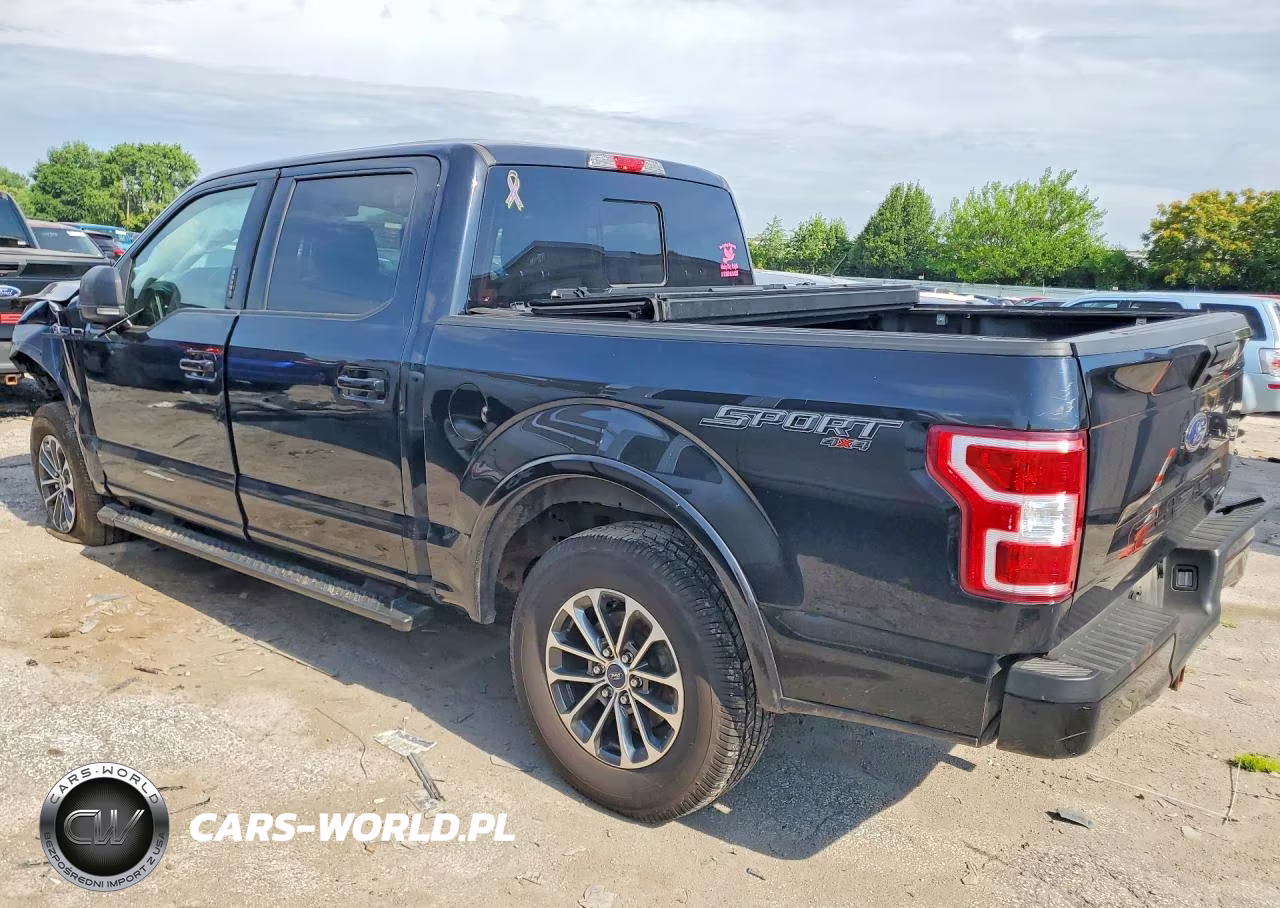 2019 Ford F150 Supercrew VIN:1FTEW1EP9KFA54994 - 2