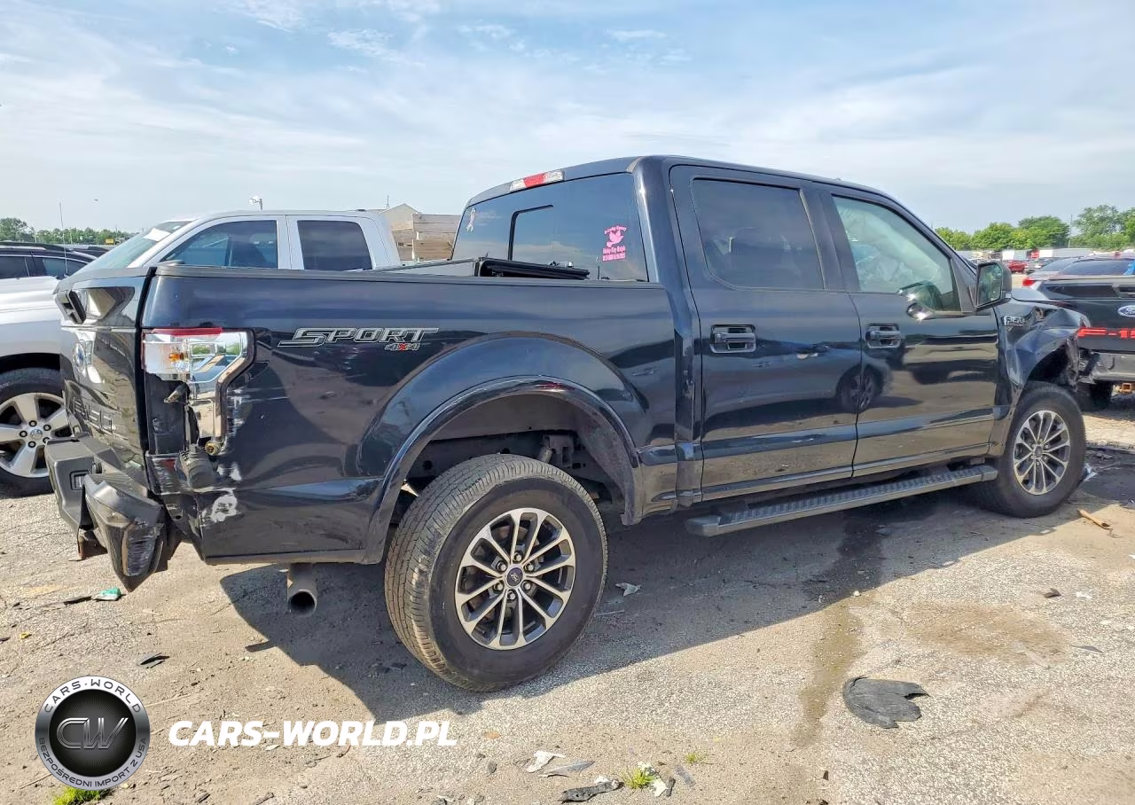 2019 Ford F150 Supercrew VIN:1FTEW1EP9KFA54994 - 3