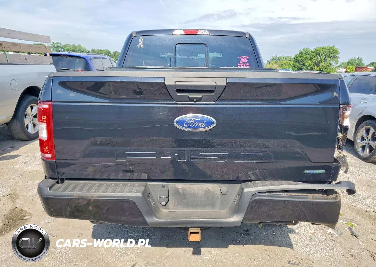 2019 Ford F150 Supercrew VIN:1FTEW1EP9KFA54994 - 6