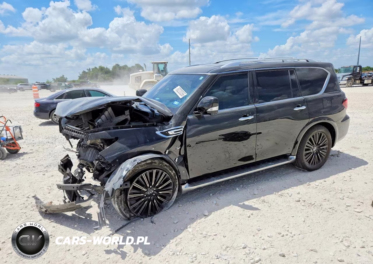 2019 Infiniti Qx80 Limited VIN:JN8AZ2NE5K9233000 - 1