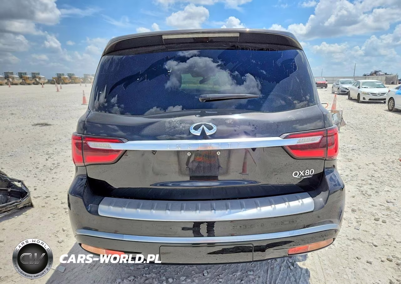 2019 Infiniti Qx80 Limited VIN:JN8AZ2NE5K9233000 - 6