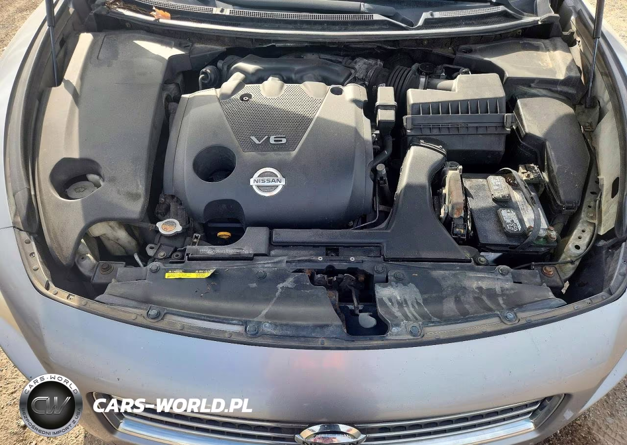 2009 Nissan Maxima 3.5 S VIN:1N4AA51E69C803132 - 11
