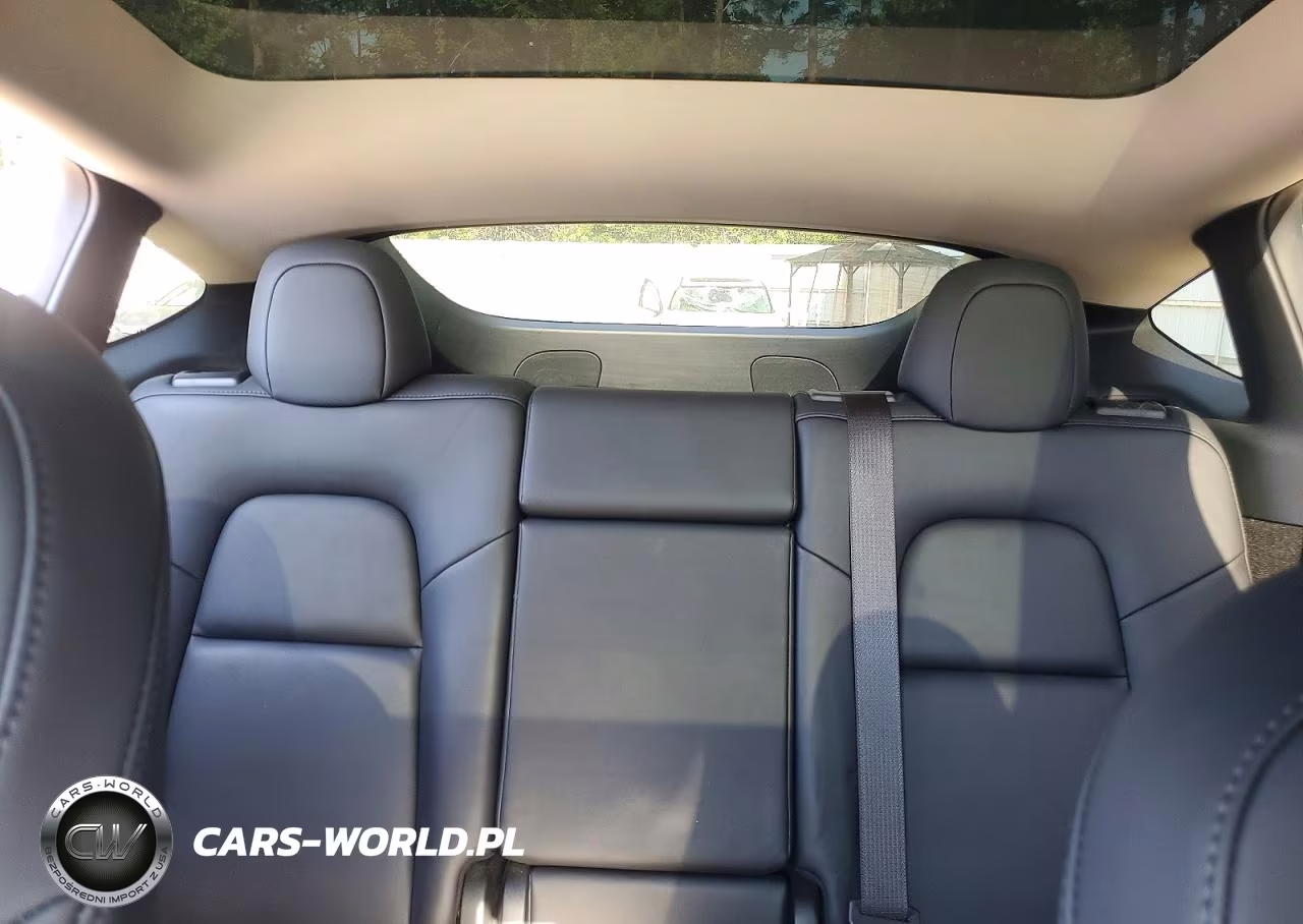 2023 Tesla Model Y VIN:7SAYGDEDXPF960507 - 10