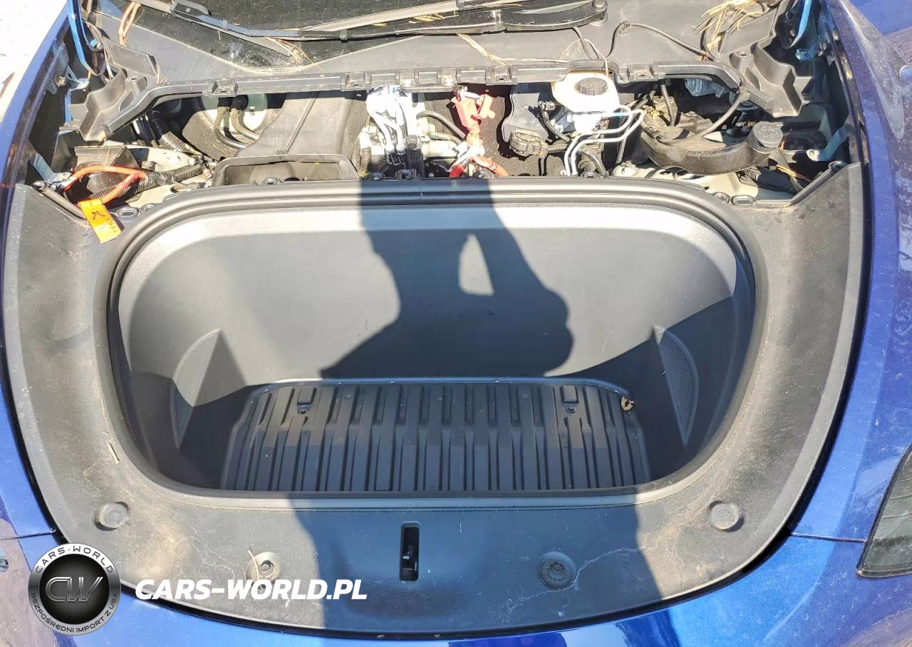 2023 Tesla Model Y VIN:7SAYGDEDXPF960507 - 12