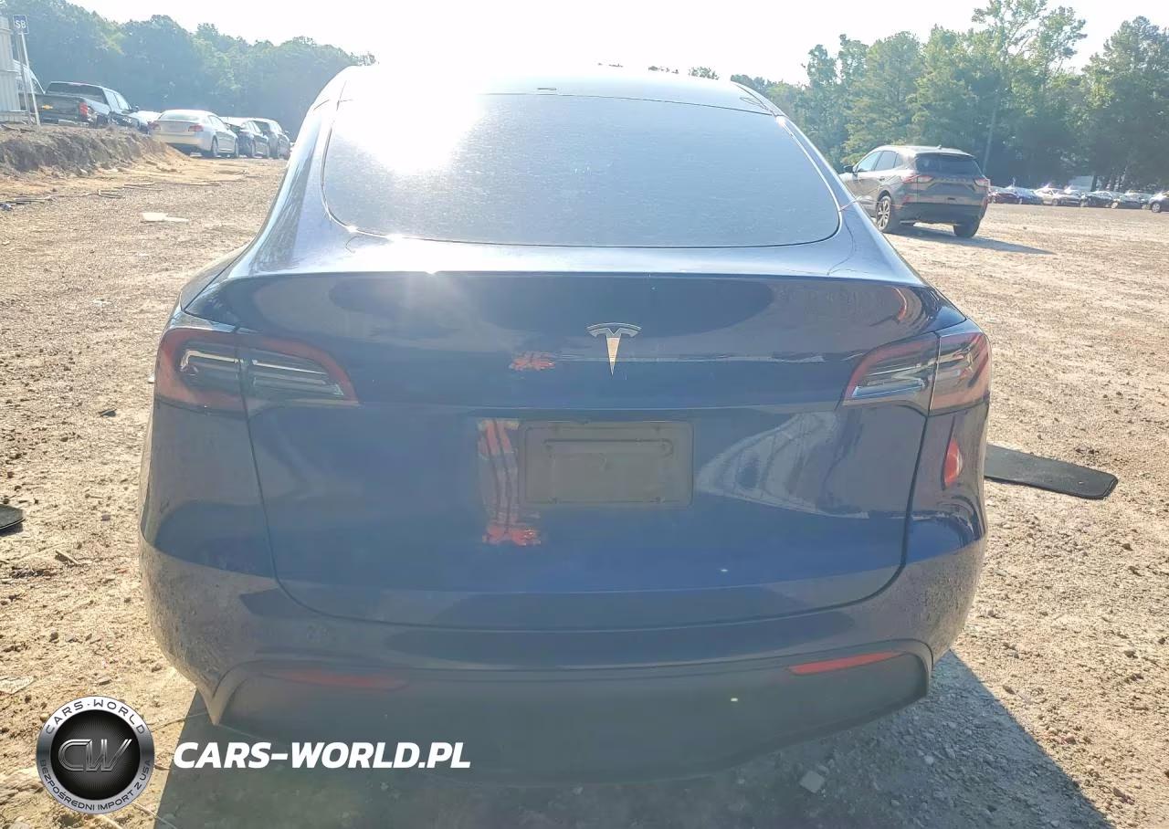 2023 Tesla Model Y VIN:7SAYGDEDXPF960507 - 6