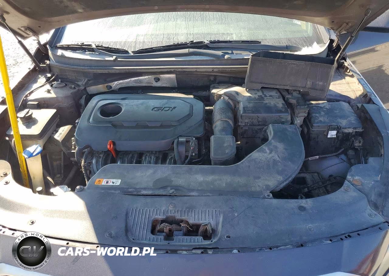 2015 Hyundai Sonata Se VIN:5NPE24AF0FH067395 - 11