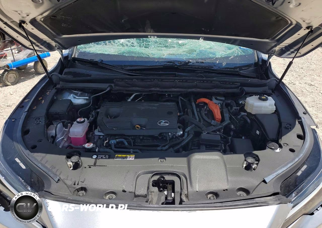 2023 Lexus Rx 350H Premium VIN:2T2BBMCA6PC020165 - 12