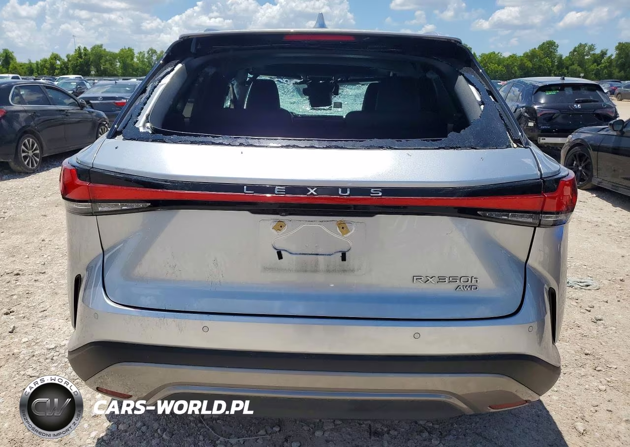 2023 Lexus Rx 350H Premium VIN:2T2BBMCA6PC020165 - 6