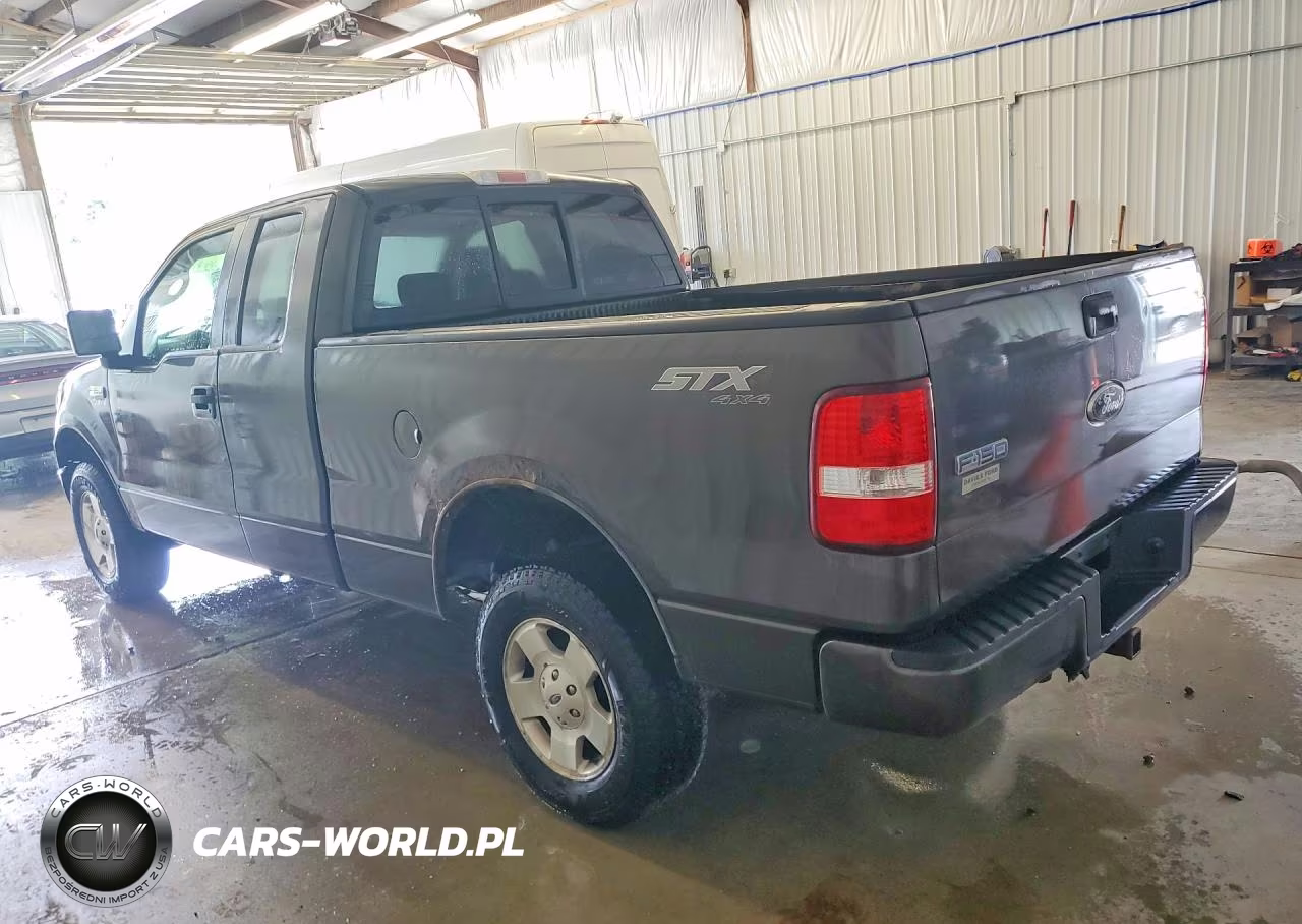 2006 Ford F150 VIN:1FTRX14W46NA06676 - 2