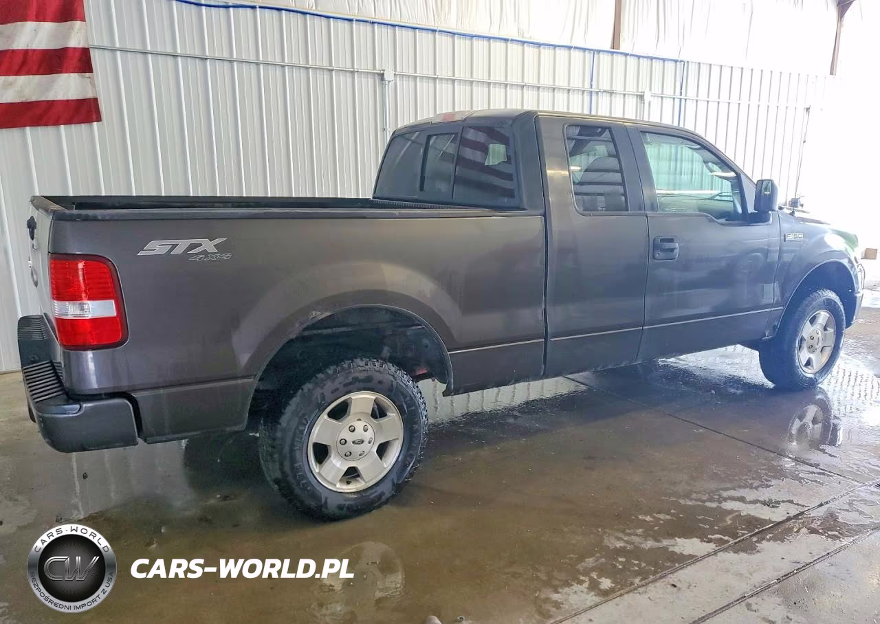 2006 Ford F150 VIN:1FTRX14W46NA06676 - 3