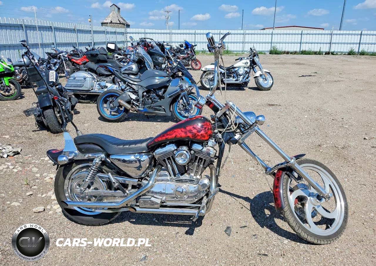 2000 Harley-Davidson Xl1200 C