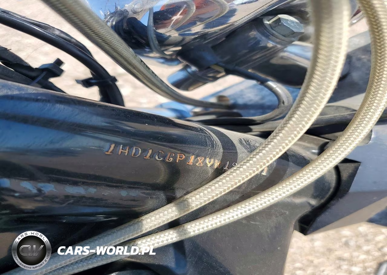 2000 Harley-Davidson Xl1200 C VIN:1HD1CGP18YK123241 - 9