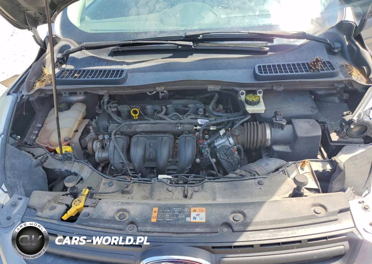 2014 Ford Escape S VIN:1FMCU0F71EUB20990 - 12