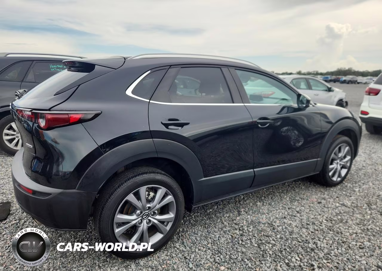 2025 Mazda Cx-30 Preferred VIN:3MVDMBCM5SM800842 - 3
