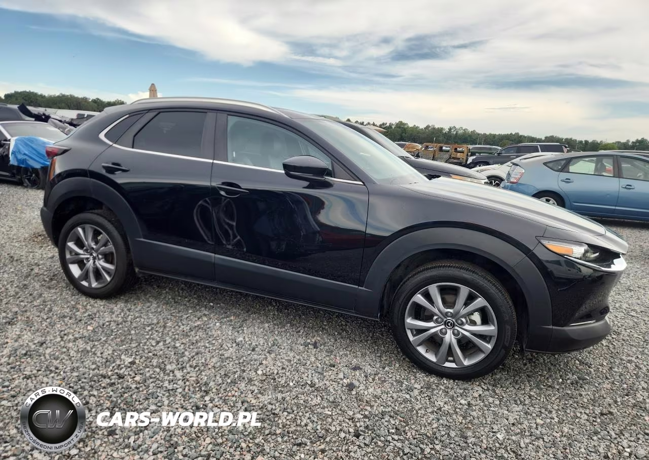 2025 Mazda Cx-30 Preferred VIN:3MVDMBCM5SM800842 - 4