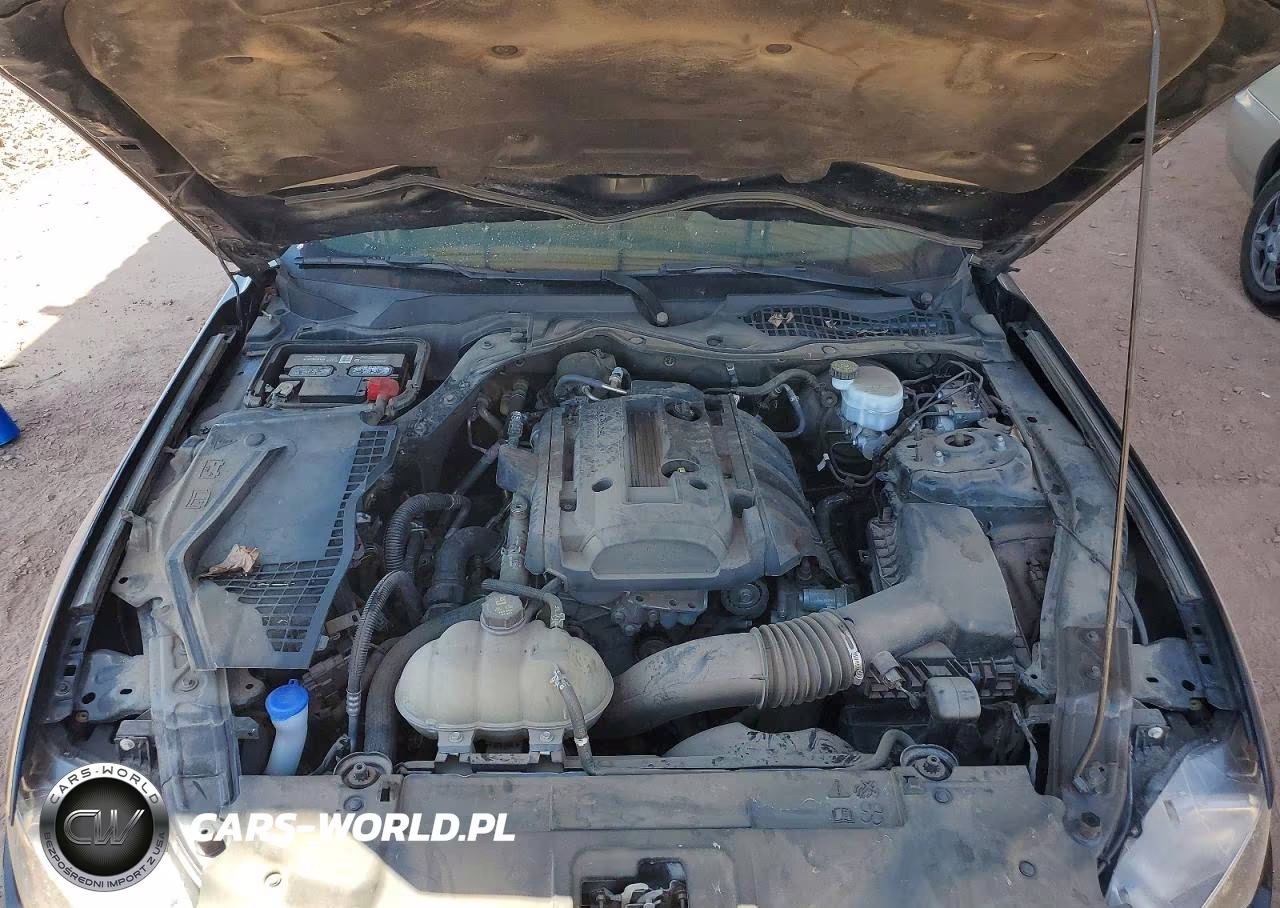 2020 Ford Mustang VIN:1FA6P8TH2L5183839 - 11