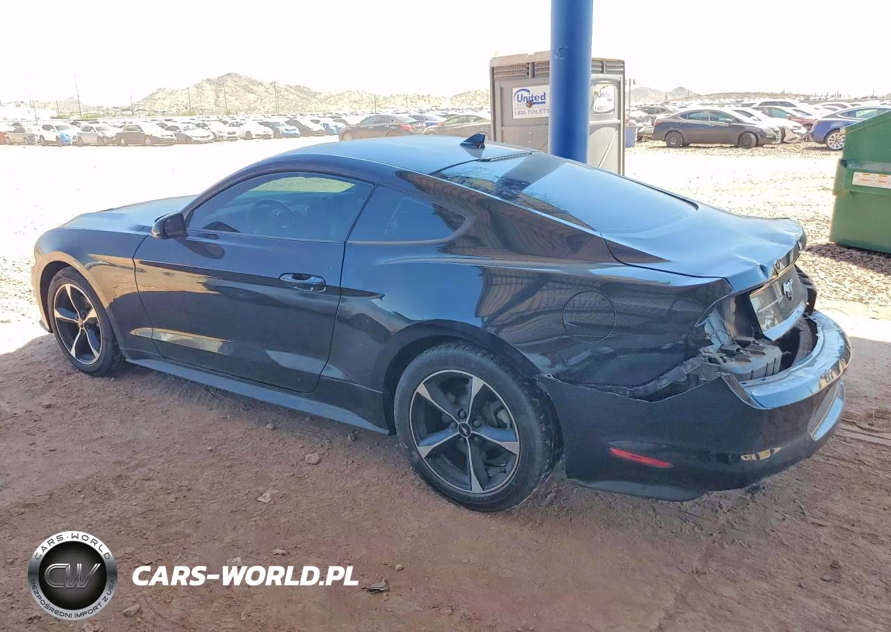 2020 Ford Mustang VIN:1FA6P8TH2L5183839 - 2