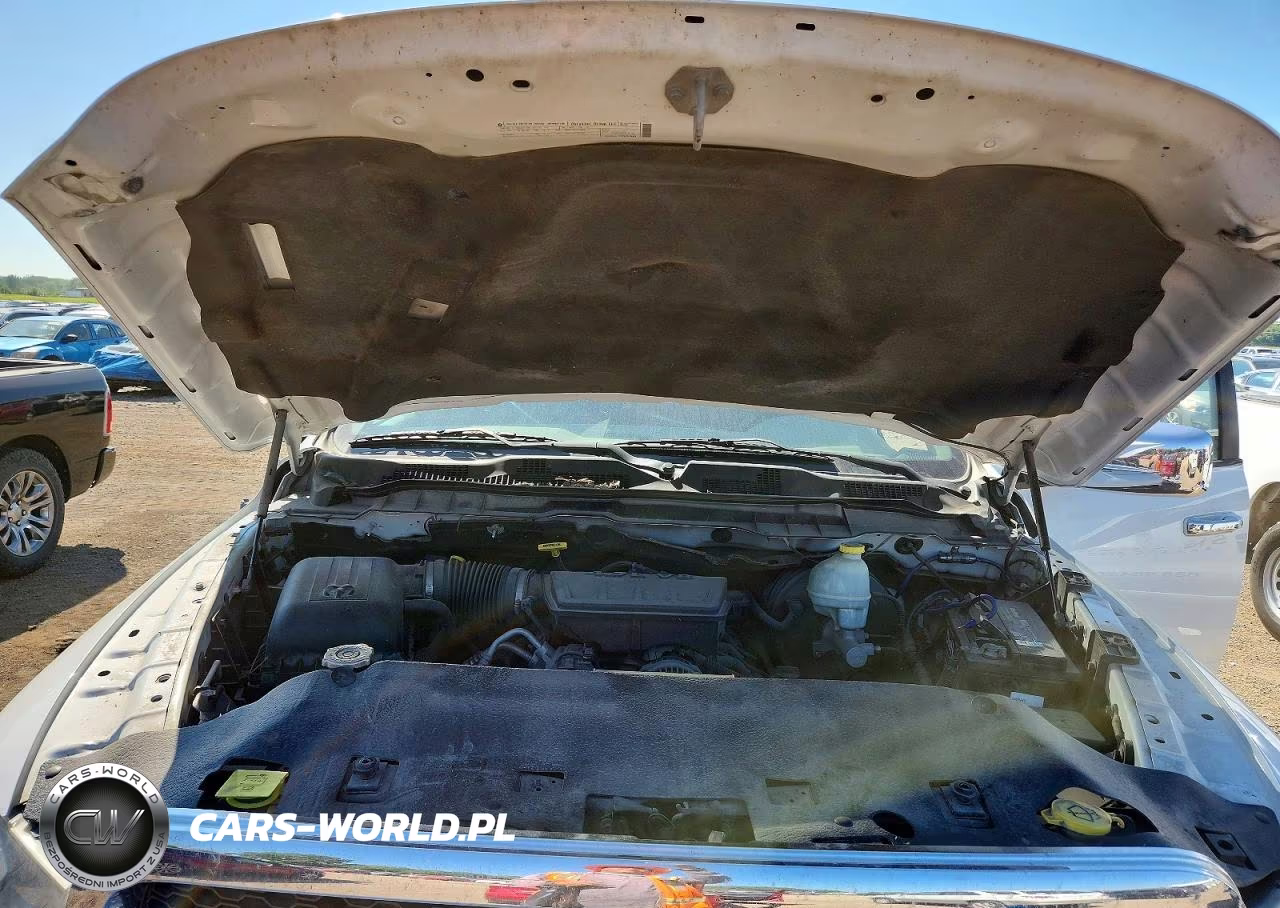 2010 Dodge Ram 1500 VIN:1D7RV1GP2AS172981 - 11
