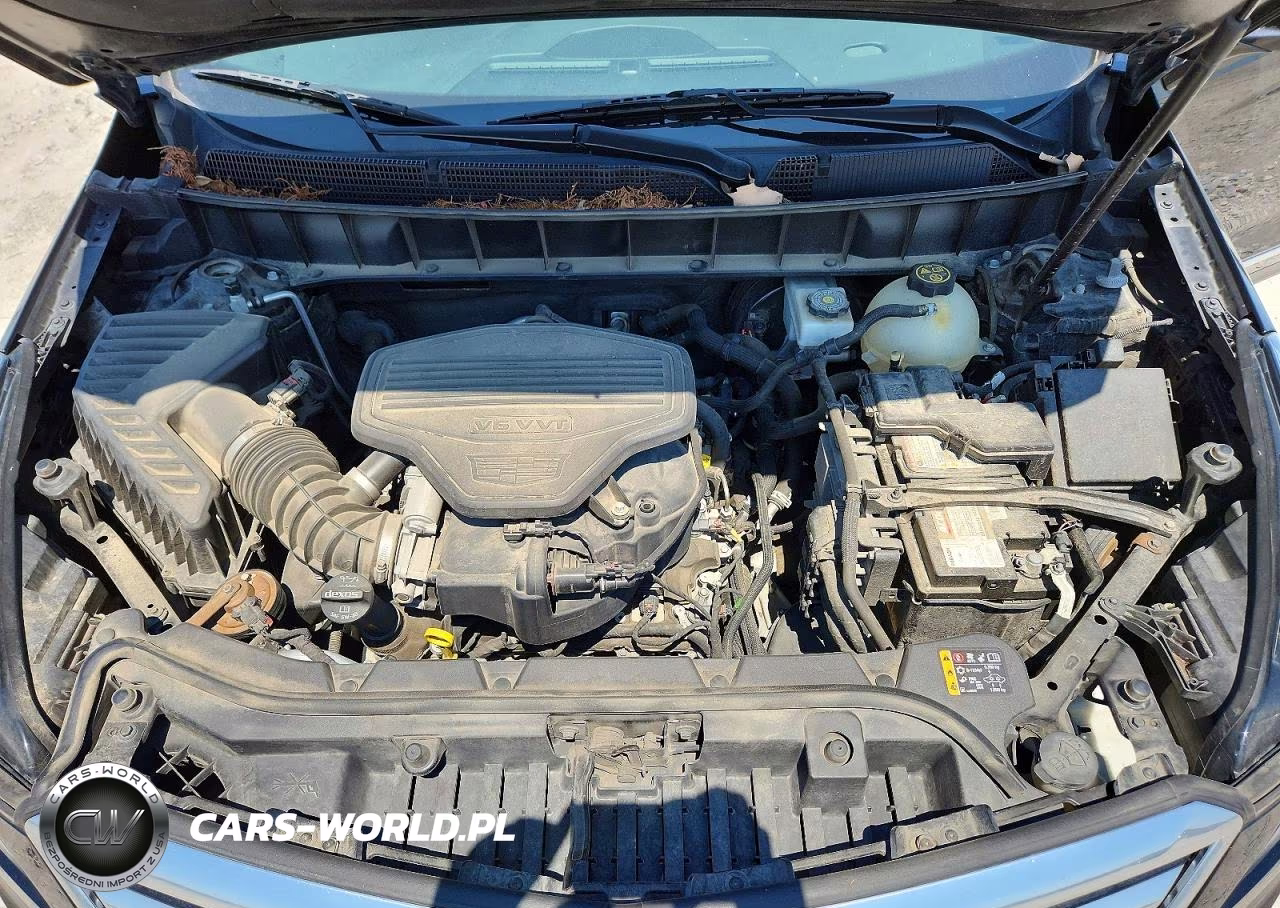 2019 Cadillac Xt5 Luxury VIN:1GYKNCRS2KZ108421 - 12