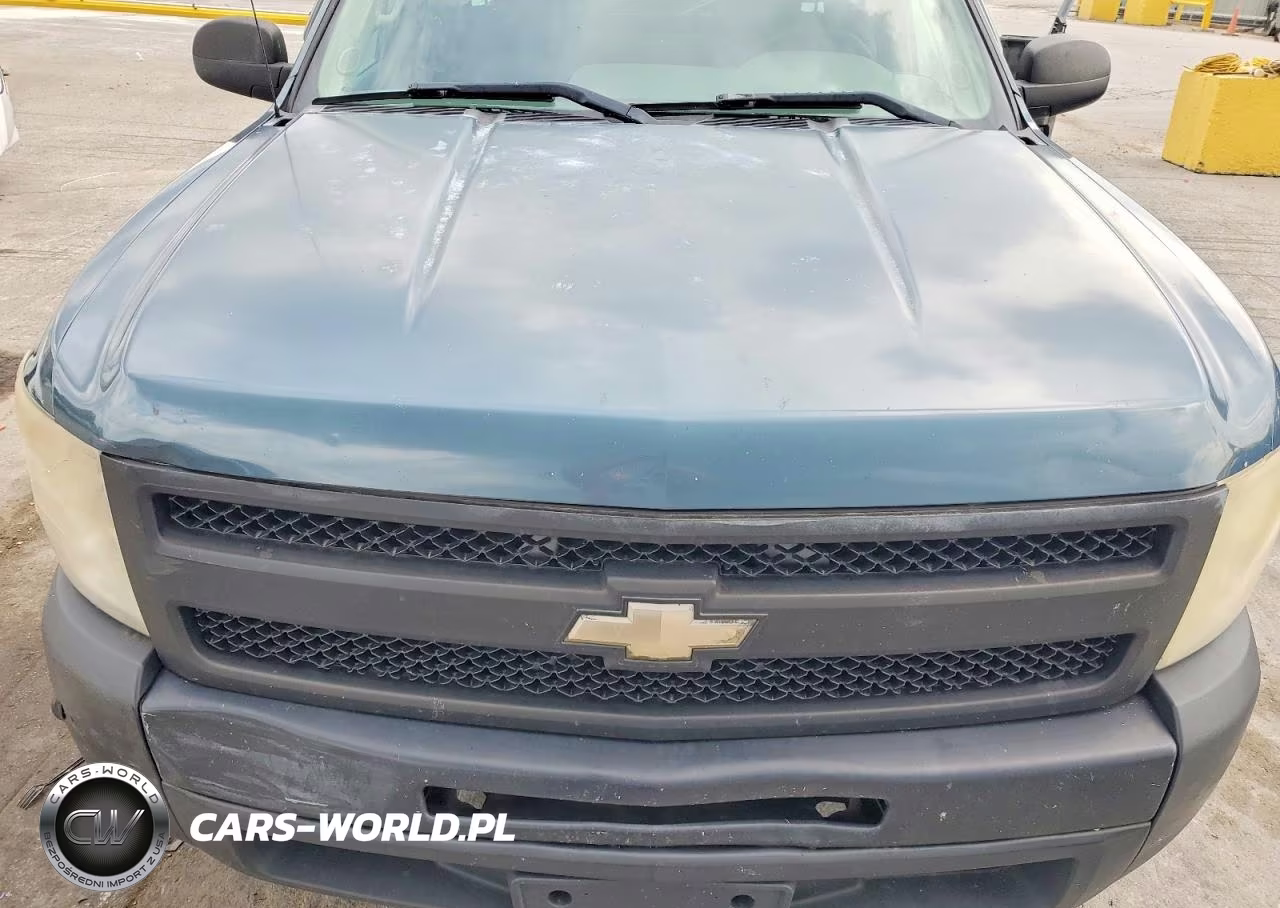 2010 Chevrolet Silverado C1500 VIN:1GCSCPE07AZ234232 - 11