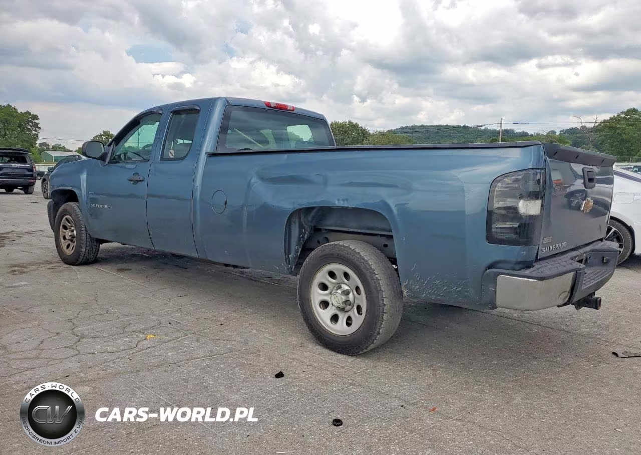 2010 Chevrolet Silverado C1500 VIN:1GCSCPE07AZ234232 - 2