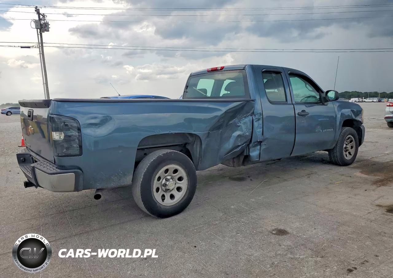 2010 Chevrolet Silverado C1500 VIN:1GCSCPE07AZ234232 - 3