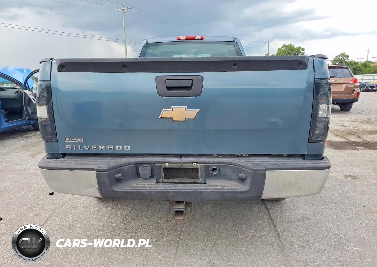 2010 Chevrolet Silverado C1500 VIN:1GCSCPE07AZ234232 - 6