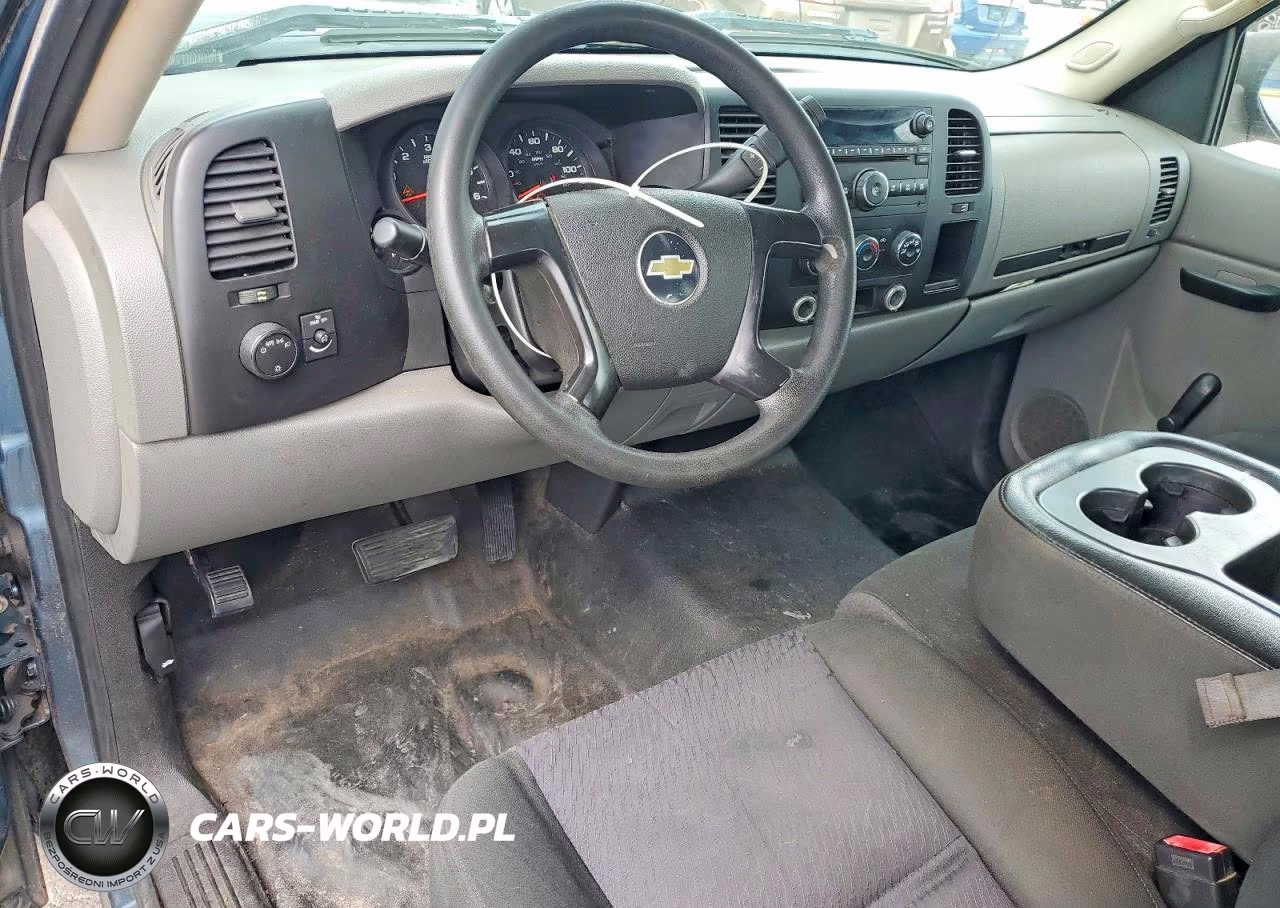 2010 Chevrolet Silverado C1500 VIN:1GCSCPE07AZ234232 - 8