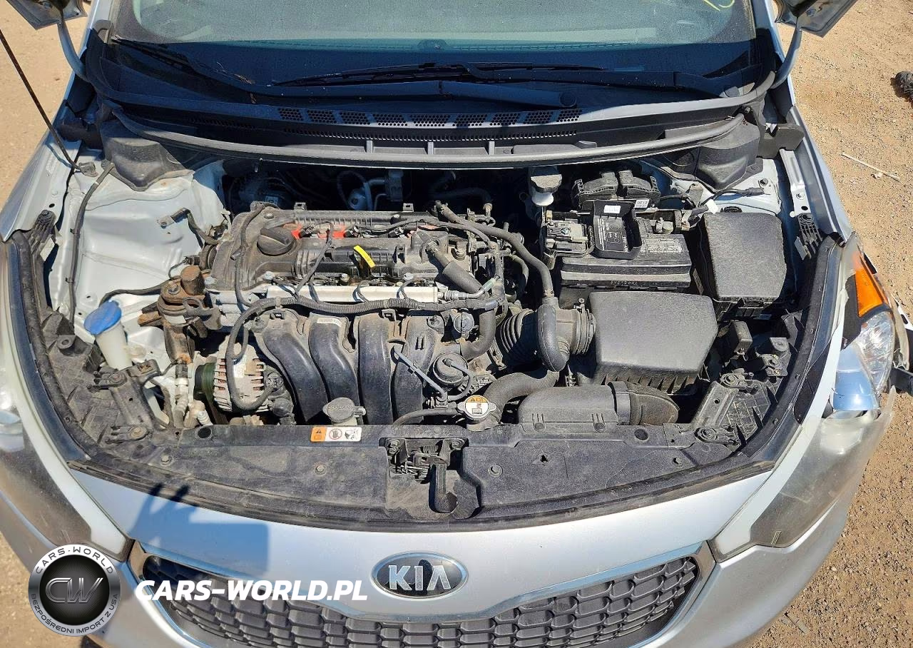 2014 Kia Forte Lx VIN:KNAFX4A65E5242516 - 11