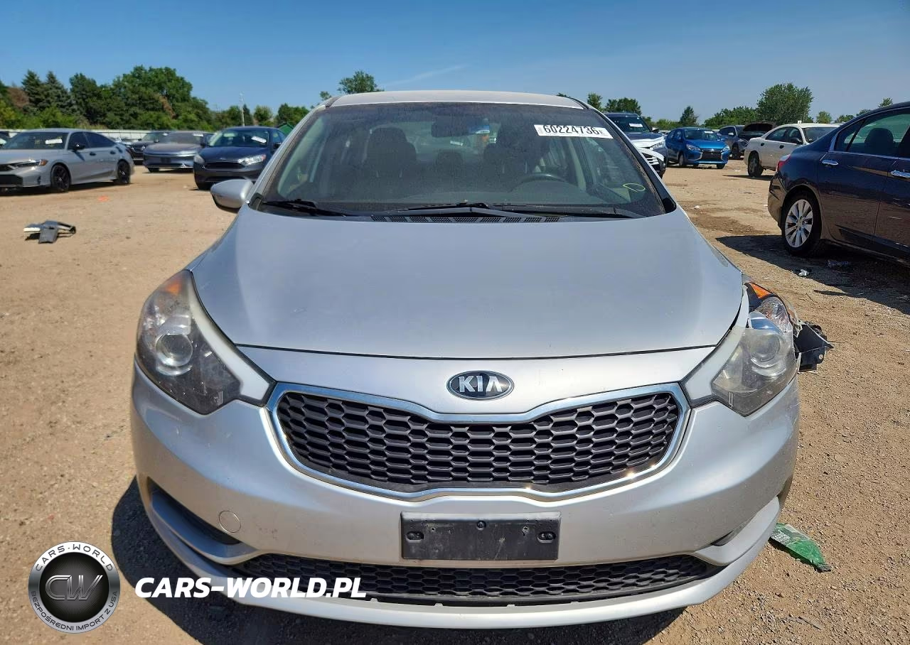 2014 Kia Forte Lx VIN:KNAFX4A65E5242516 - 5