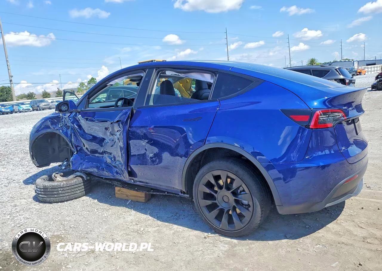 2024 Tesla Model Y VIN:7SAYGDED9RF158114 - 2
