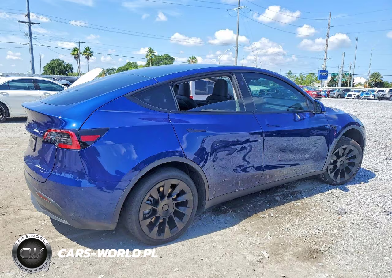 2024 Tesla Model Y VIN:7SAYGDED9RF158114 - 3