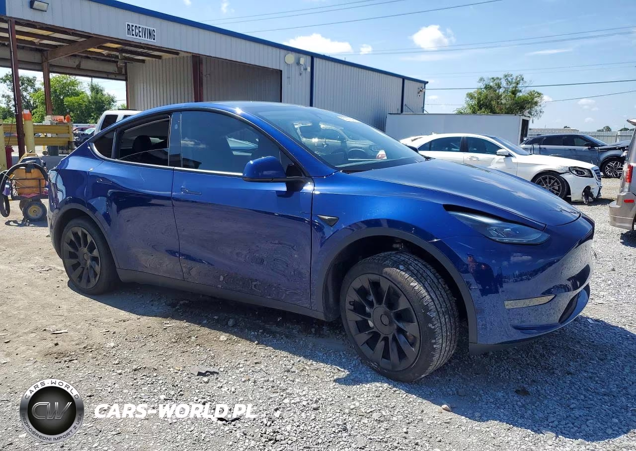 2024 Tesla Model Y VIN:7SAYGDED9RF158114 - 4