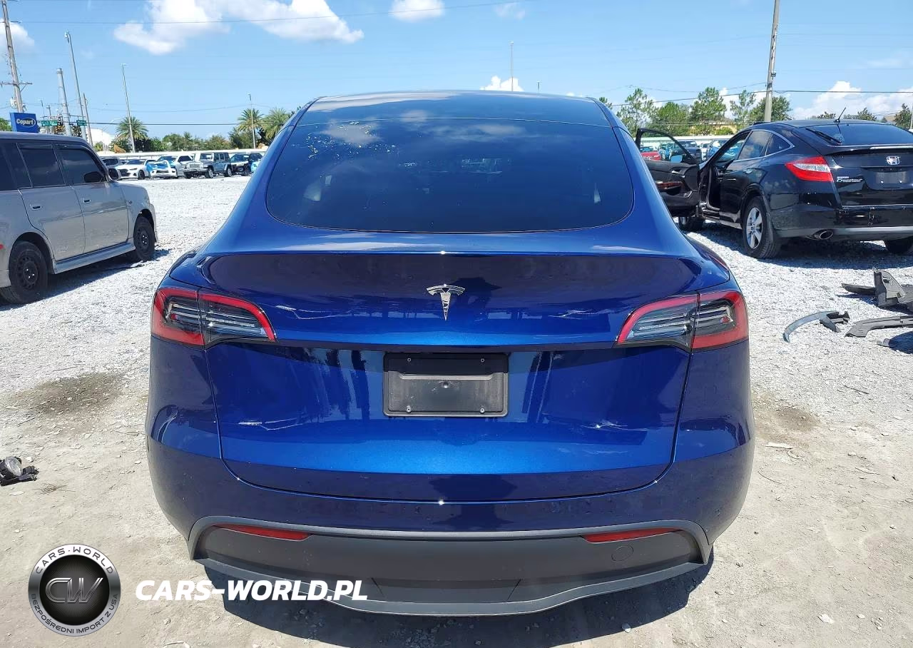 2024 Tesla Model Y VIN:7SAYGDED9RF158114 - 6