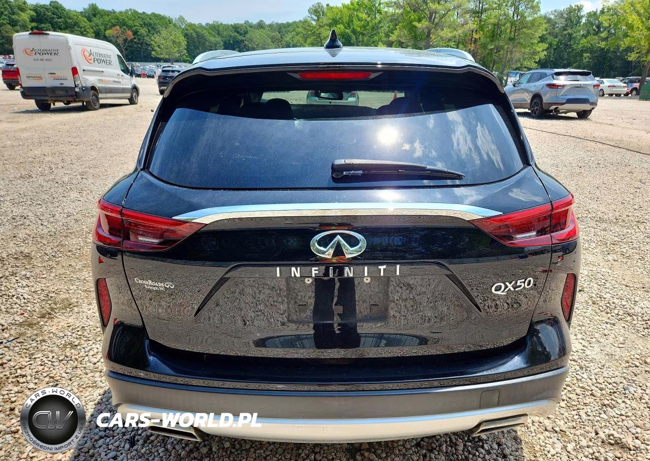 2019 Infiniti Qx50 Luxe VIN:3PCAJ5M14KF137397 - 6
