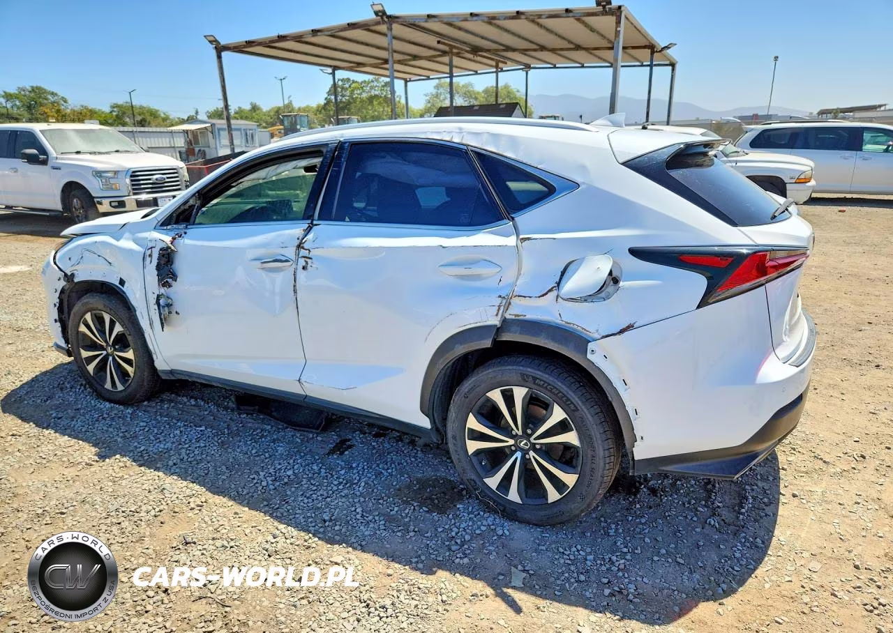 2019 Lexus Nx 300 Base VIN:JTJBARBZXK2196085 - 2