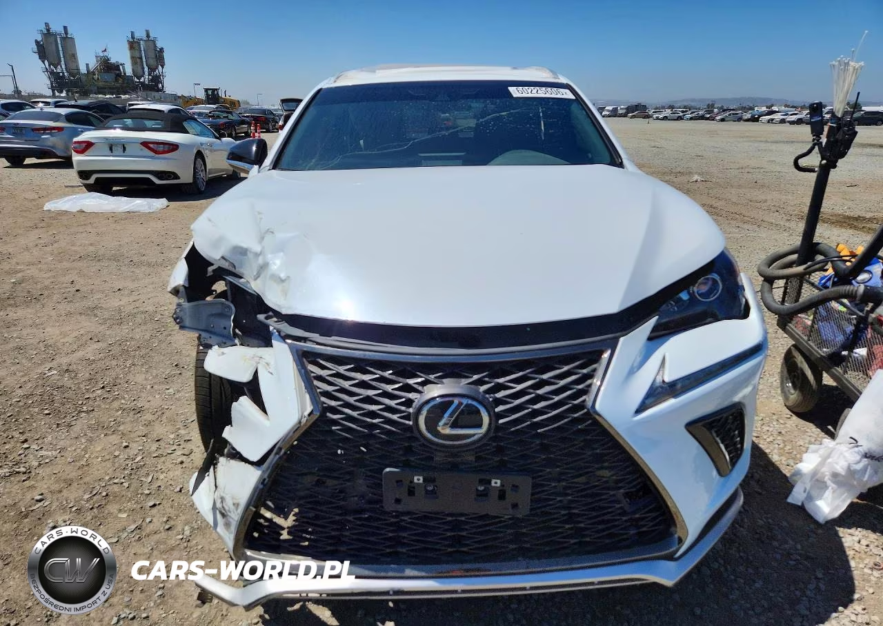 2019 Lexus Nx 300 Base VIN:JTJBARBZXK2196085 - 5