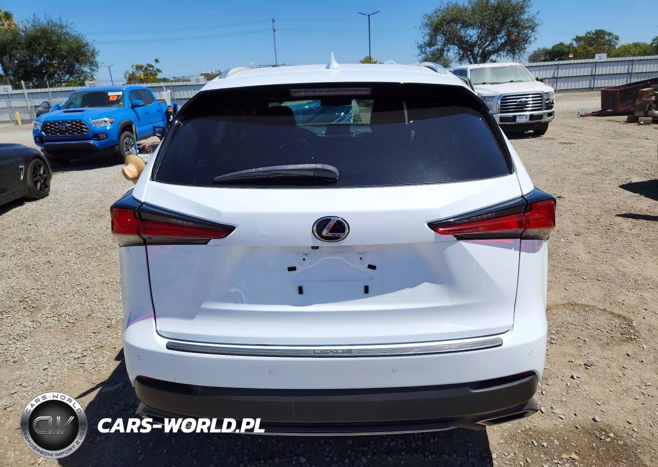 2019 Lexus Nx 300 Base VIN:JTJBARBZXK2196085 - 6