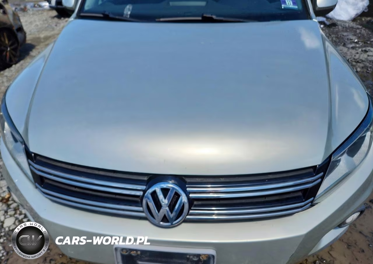 2012 Volkswagen Tiguan S VIN:WVGAV7AX6CW515625 - 12