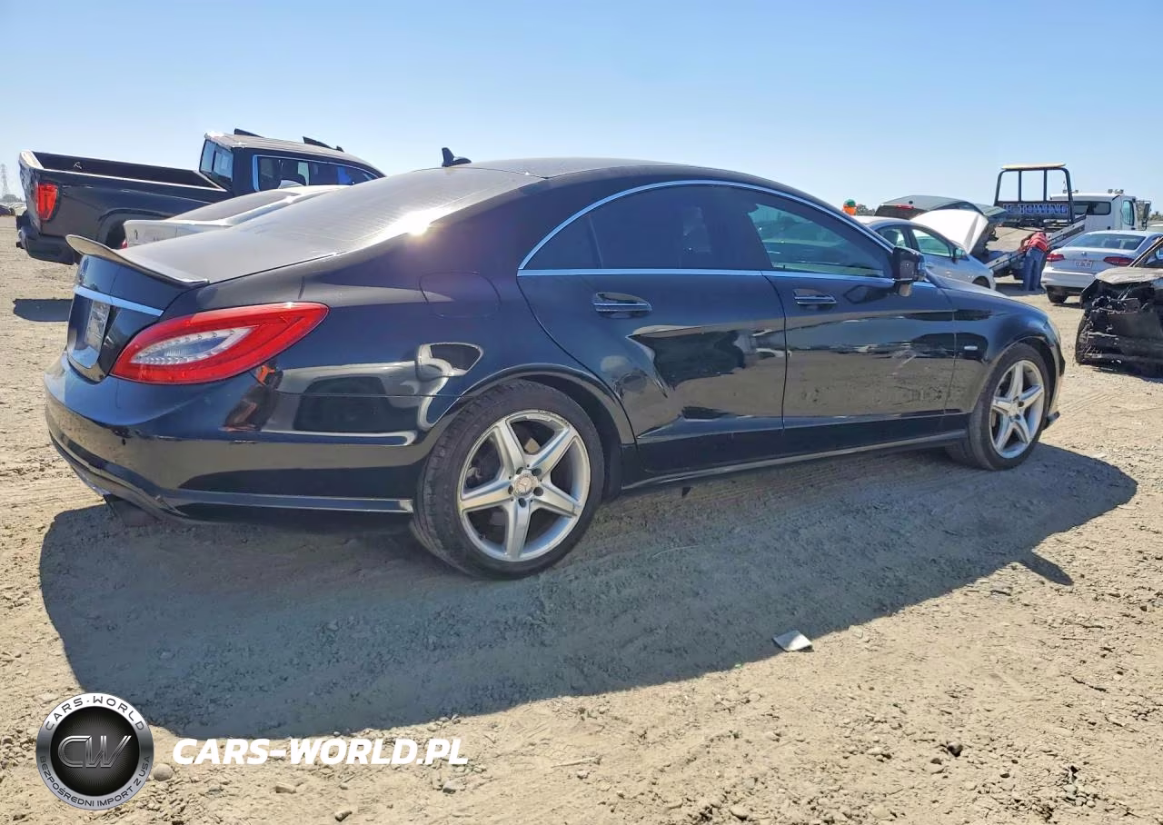 2012 Mercedes-Benz Cls 550 VIN:WDDLJ7DB2CA011066 - 3
