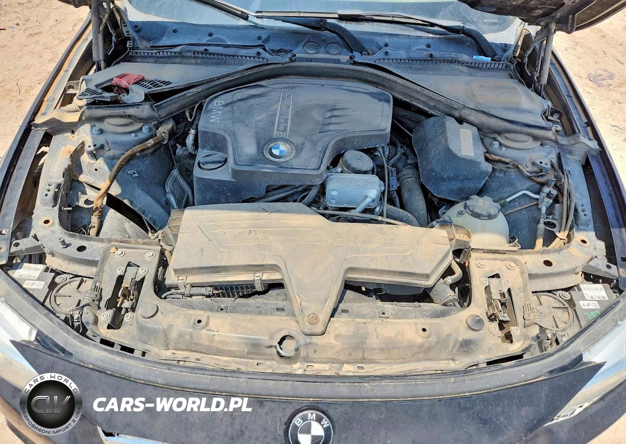 2015 BMW 428 I Sulev VIN:WBA3V7C57FP771485 - 11