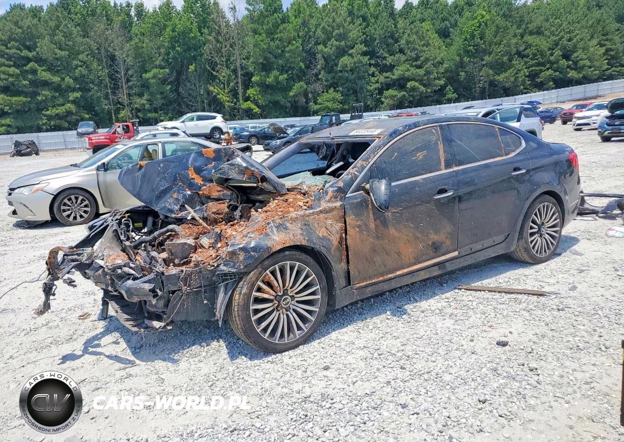 2014 Kia Cadenza Premium