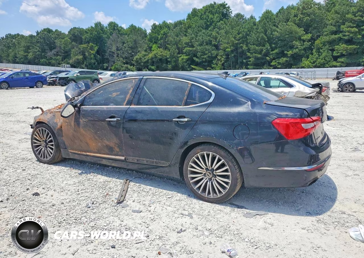 2014 Kia Cadenza Premium VIN:KNALN4D78E5130239 - 2