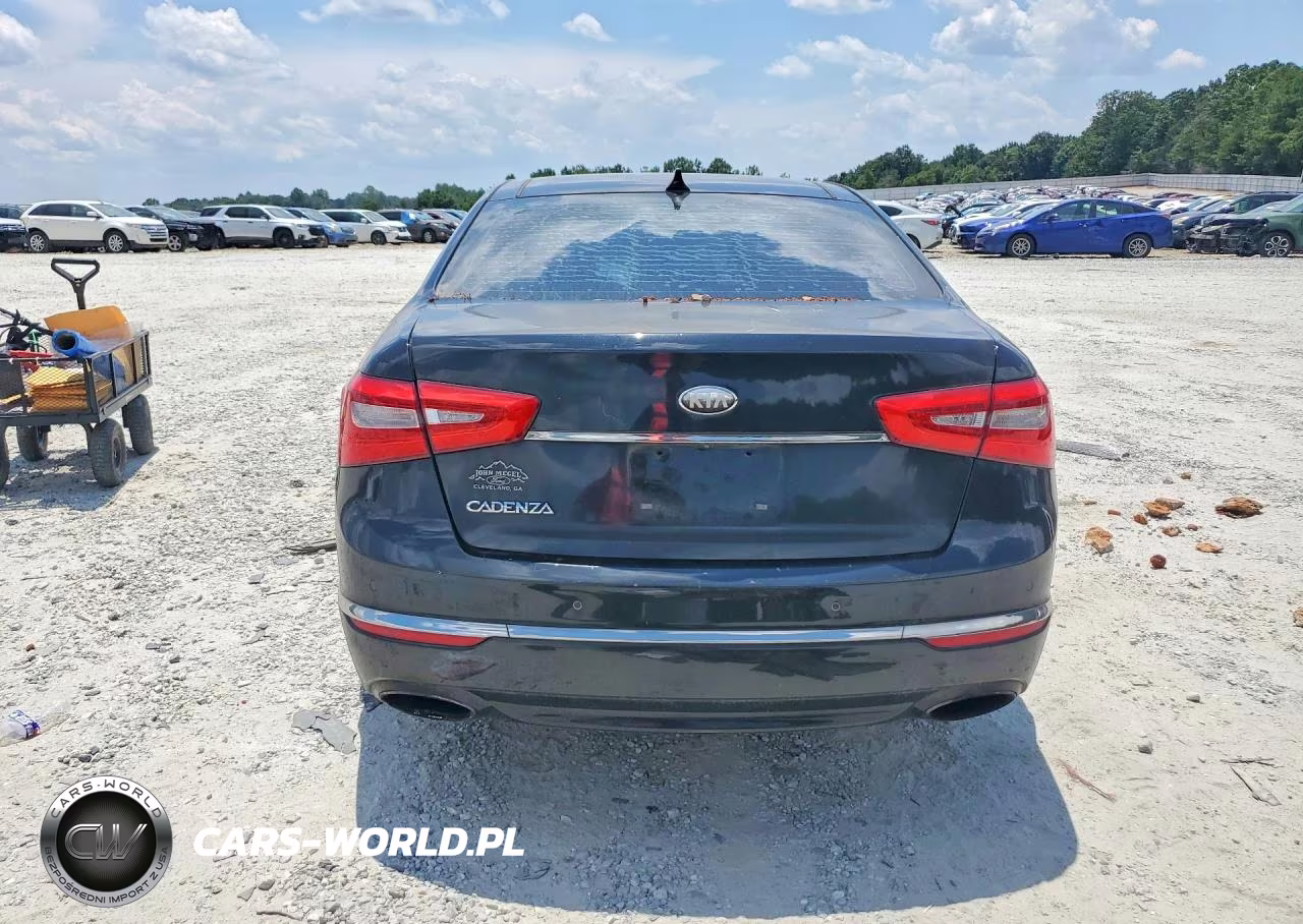 2014 Kia Cadenza Premium VIN:KNALN4D78E5130239 - 6