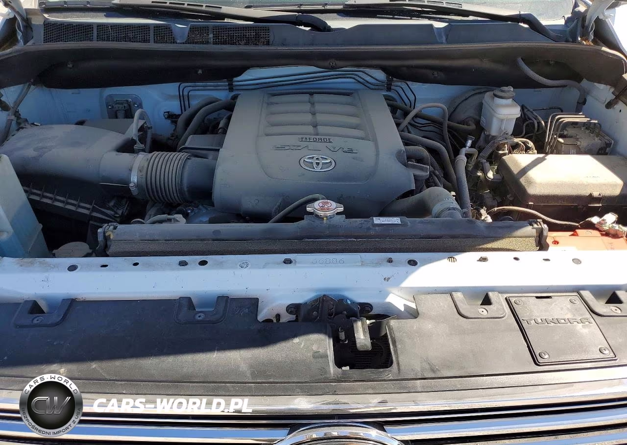 2021 Toyota Tundra 1794 Edition VIN:5TFAY5F17MX013254 - 11